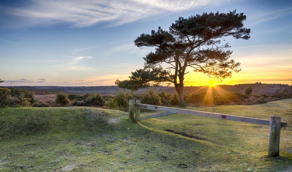 The Knightwood Oak A Luxury King Size En-Suite Space - Lymington New Forest With Totally Private Entrance - Key Box Entry - Free Parking & Private Outdoor Seating Area - Town ,Shops , Pubs & Solent Way Walking Distance & Complimentary Breakfast Items מראה חיצוני תמונה